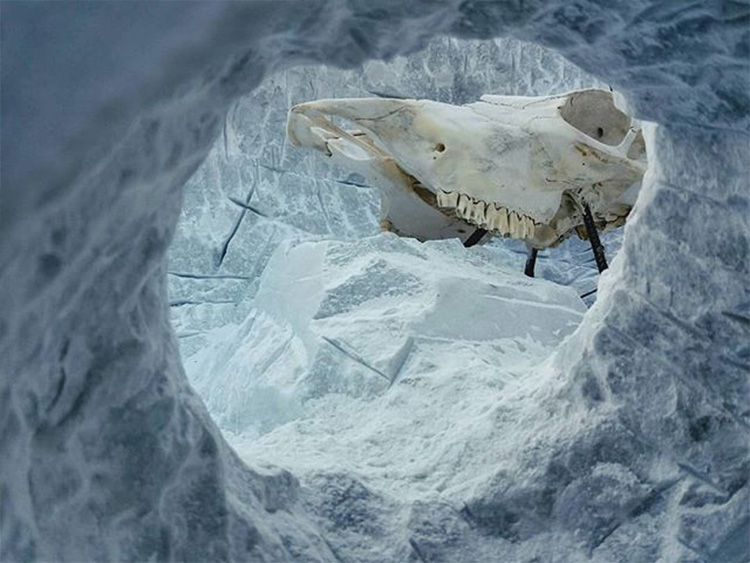 Opera di Emanuele Soldati, 'Skull and Marble' 2019