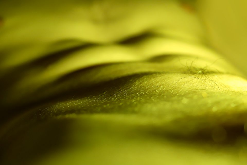 Pure Gold, Martina Dalla Vecchia
Fotografia con filtro giallo