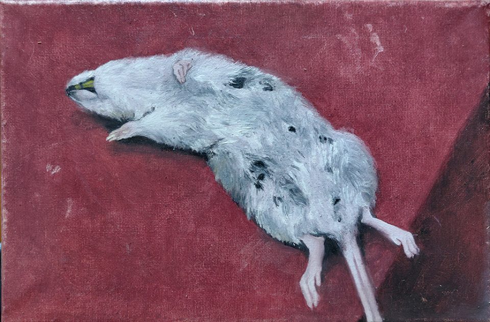 tela creata con colori ad olio, ritratto di topo morto 