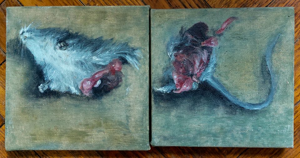 tela creata con colori ad olio, ritratto di topo morto