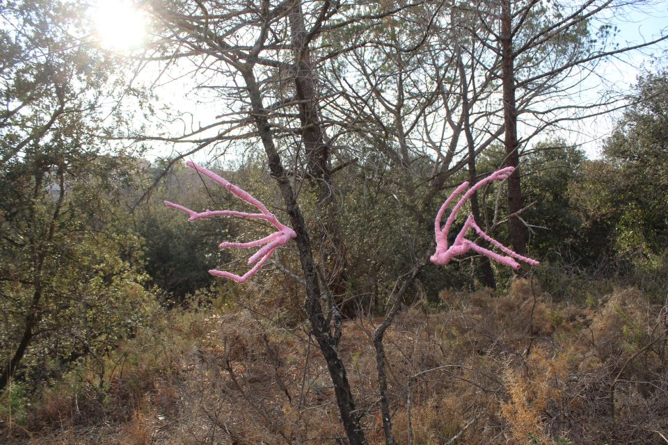 Opera dell'artista Valentina Bobbo, "Mani degli alberi (forse metto le mani dove non dovrei)", tecnica mista, dimensioni variabili, 2024.