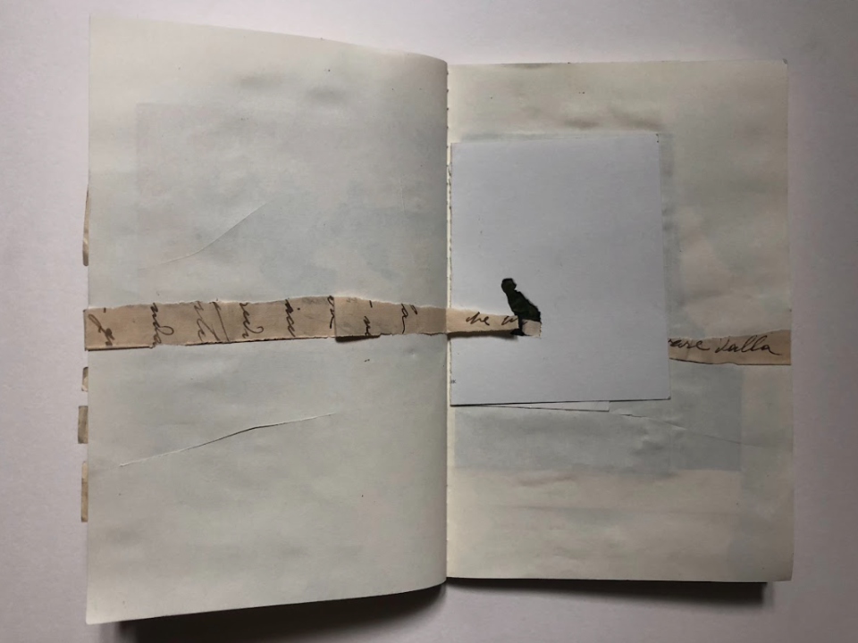 Alice Geymonat, Libro, 2023.