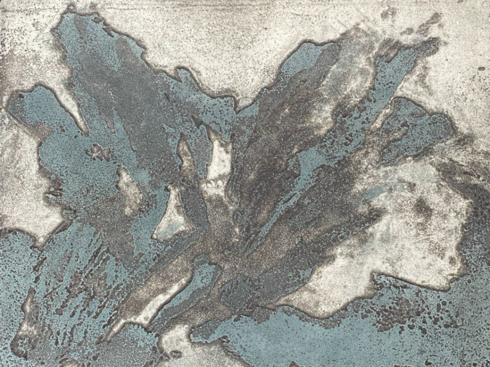 Alice Geymonat, Montagna, 2025.