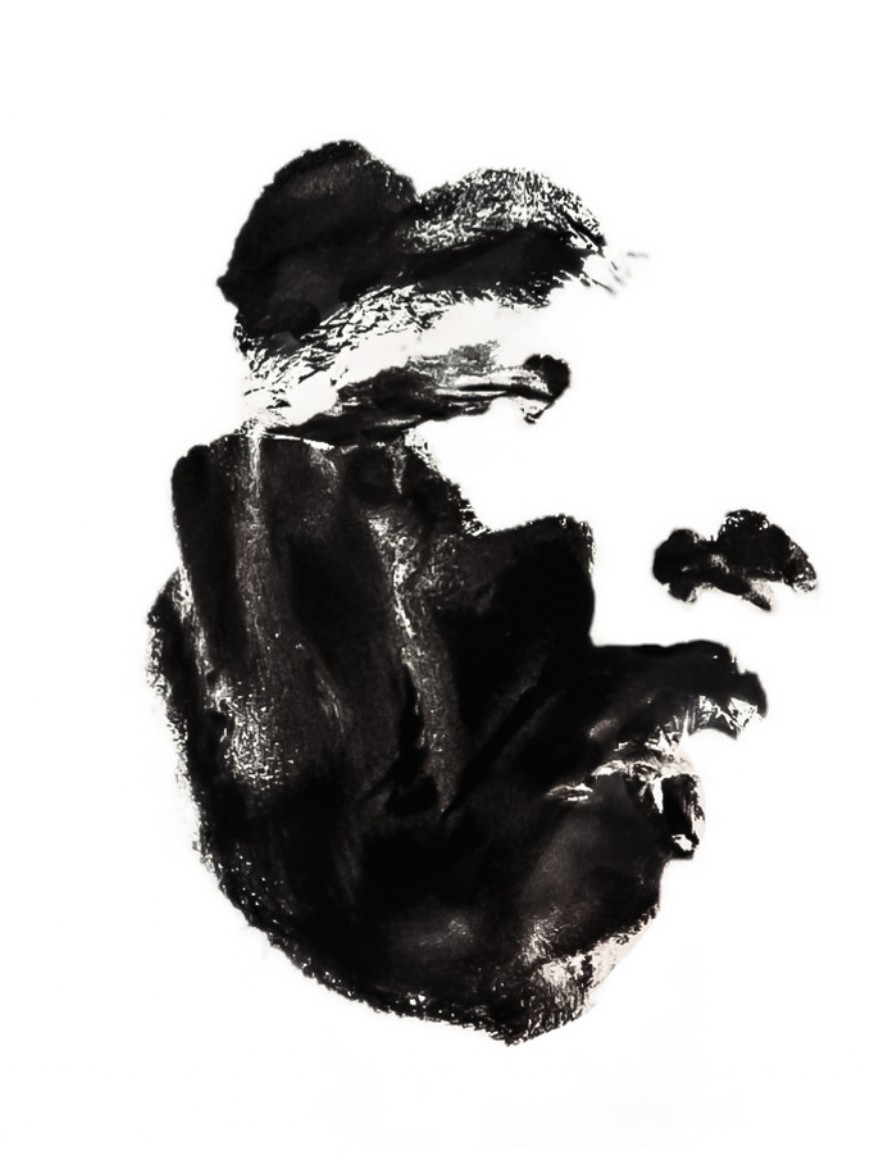 Lucia Monina, "L'ombra è la mia impronta", 2025.