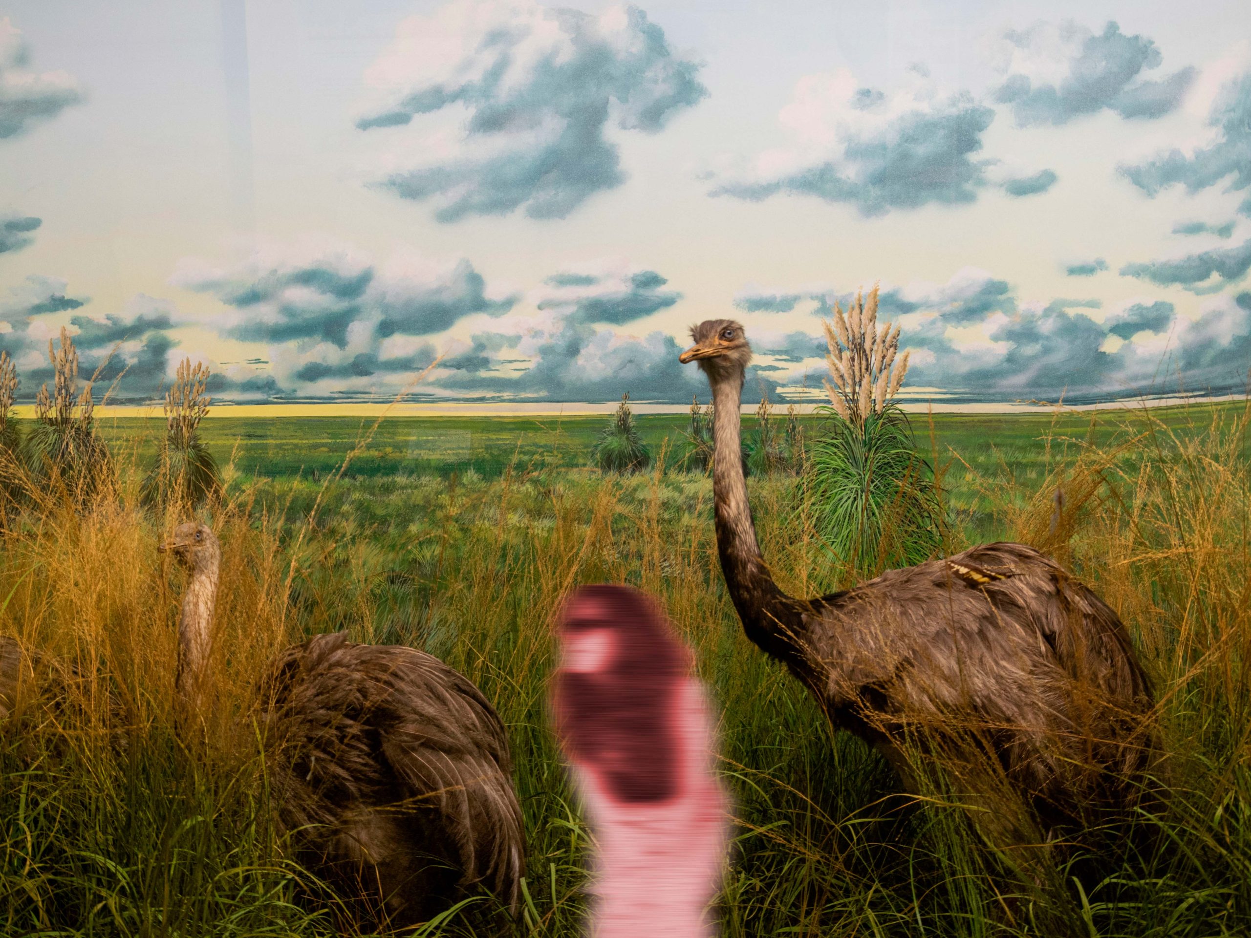 1.5 come se ci fossi (collab with joan fontcuberta), fotografia digitale, 2025