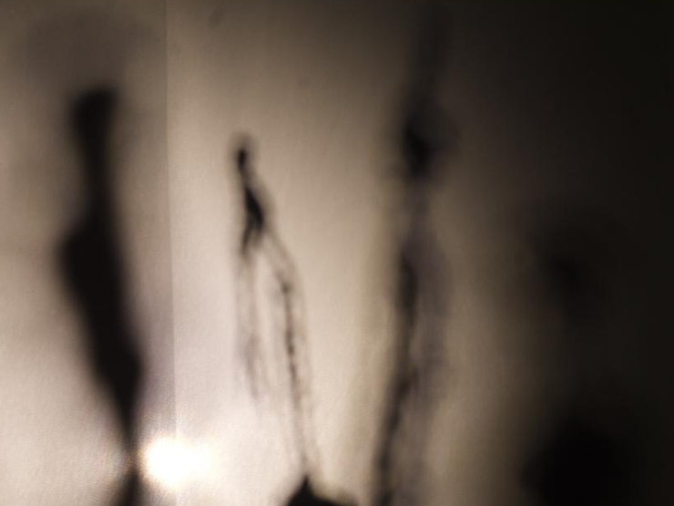 Alessandro Giove; "Ombre"; gesso, fil di ferro, tessuto e luce; 400x300x250 cm; 2024.