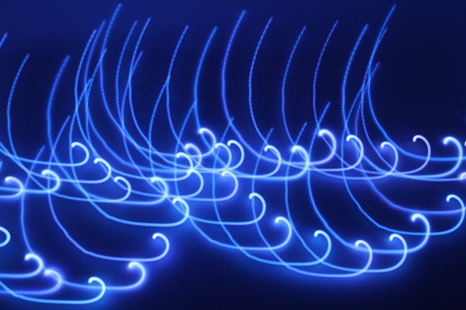 Angela Maria Cortese, "Brainstream", fotografia, 2021.