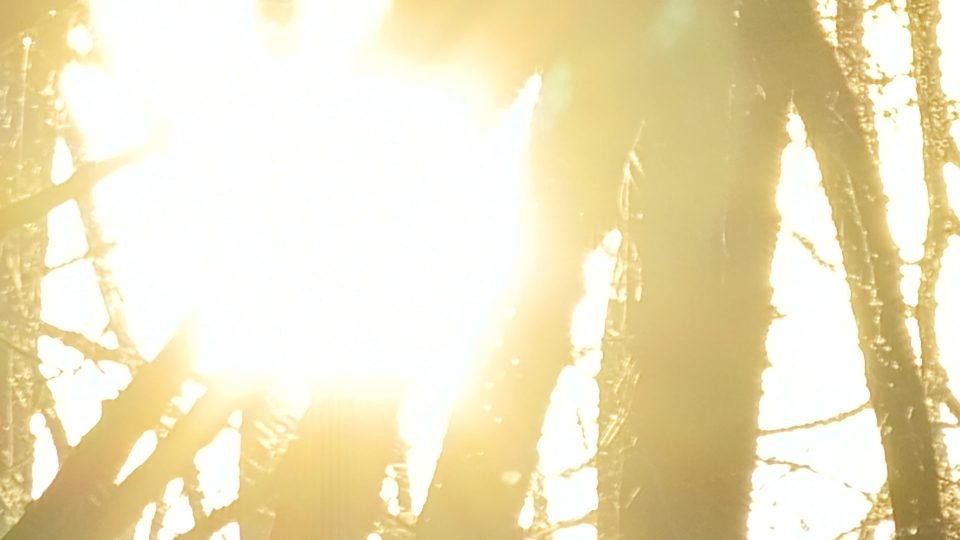 Angela Maria Cortese, ""Fissare la luce fa male agli occhi", video, 2025.