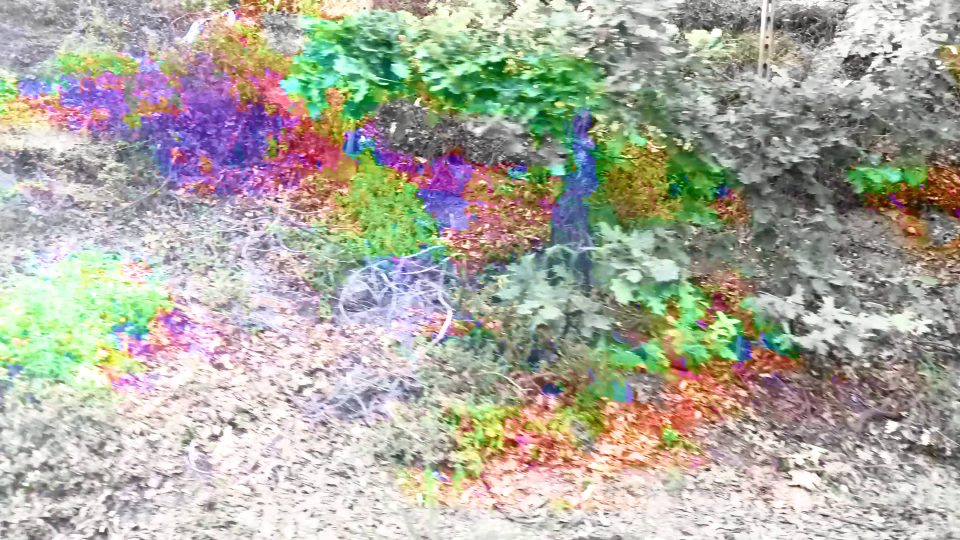Angela Maria Cortese, "Samsara", video loop, 2025.