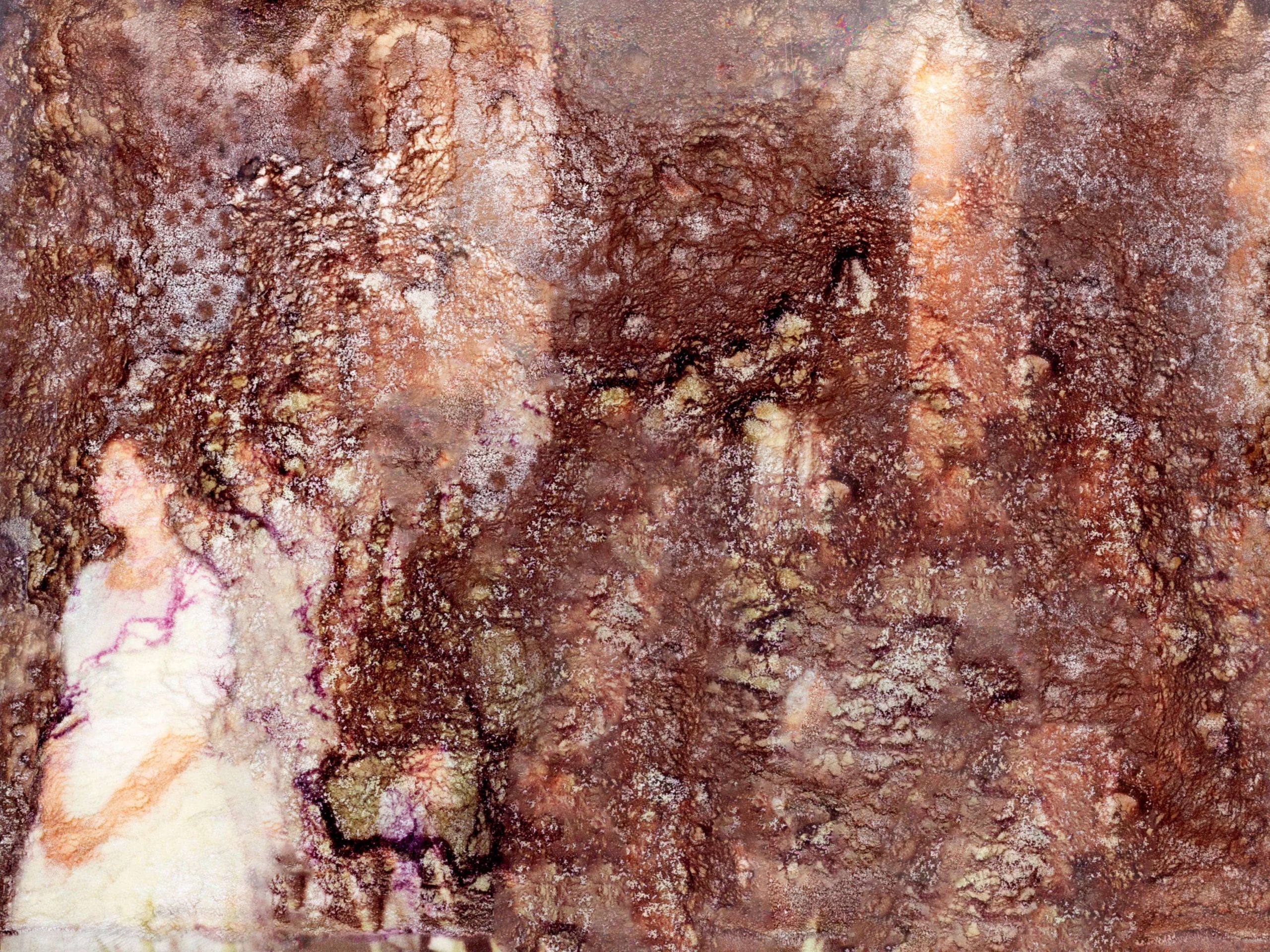 immagine-compressa-2