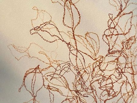 Senza titolo dalla serie "pages perdues"