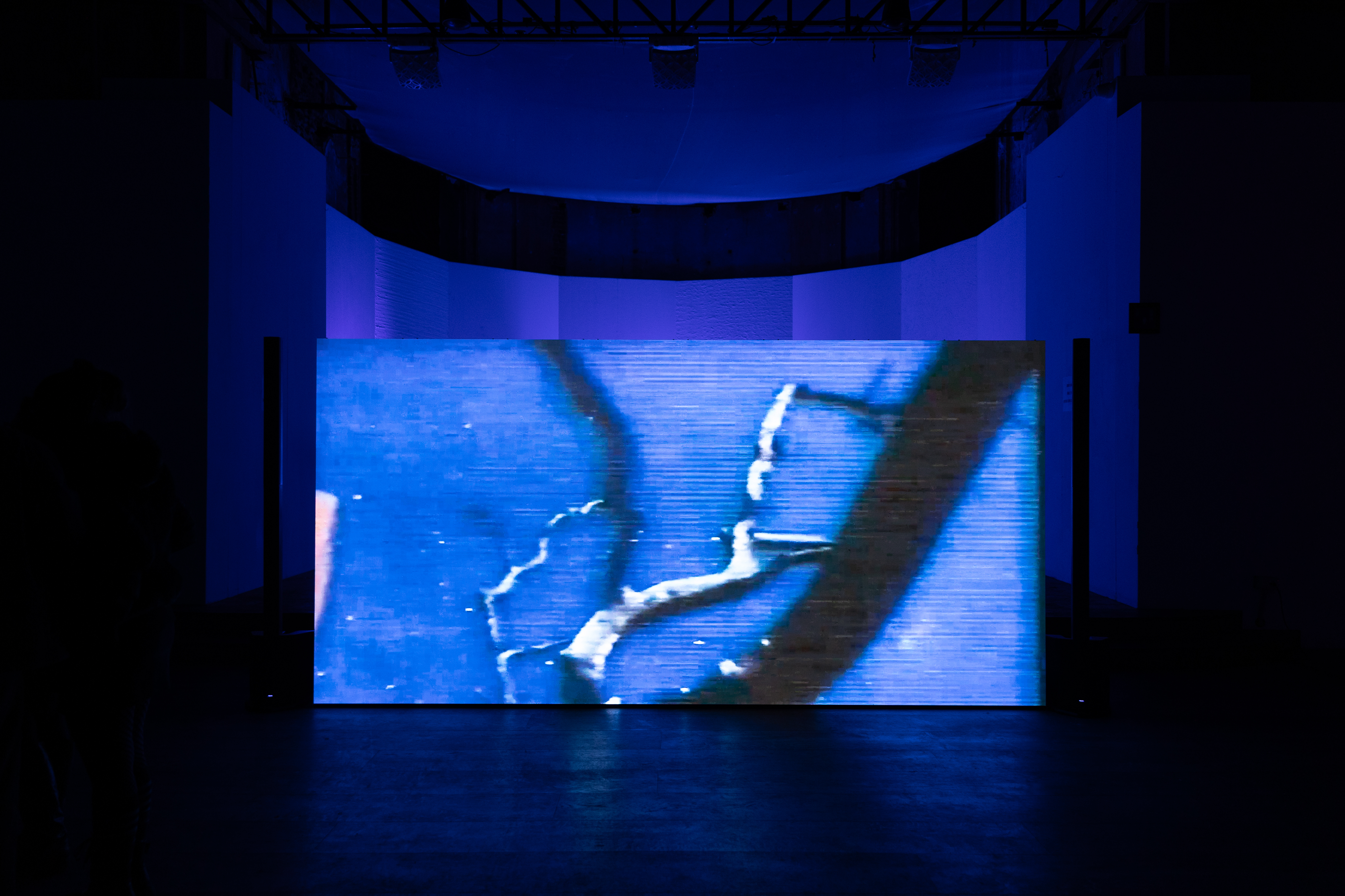 I see them, they see me_installation view